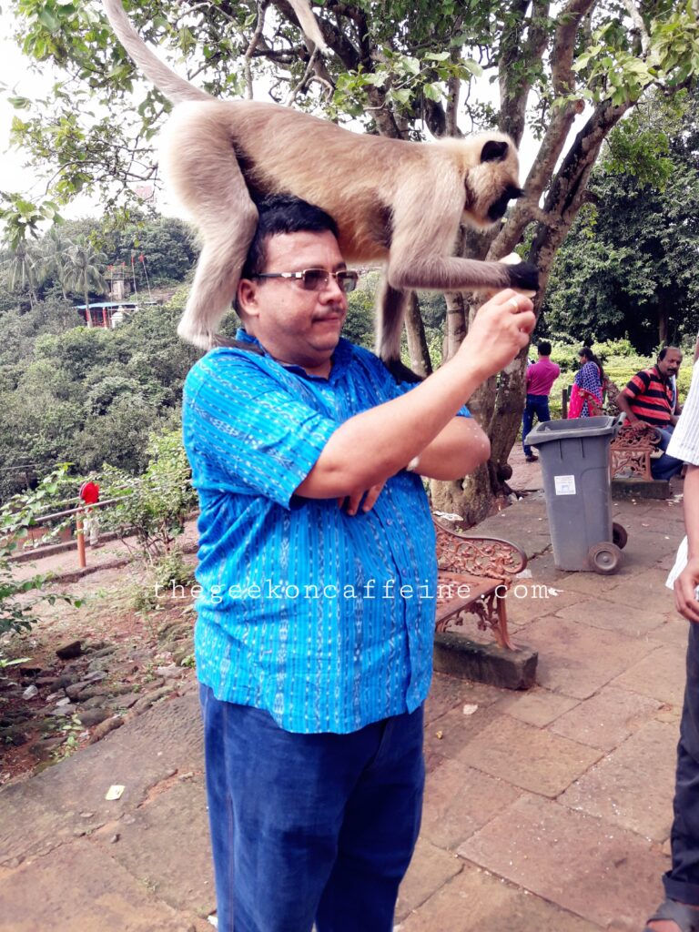 my father with monkey